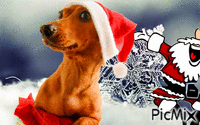 santa paws - GIF animé gratuit