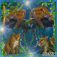 Famille de lèopards - Gratis geanimeerde GIF