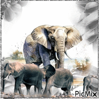 Elefanten - Gratis geanimeerde GIF