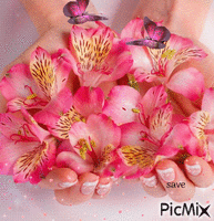flores con mariposas animoitu GIF