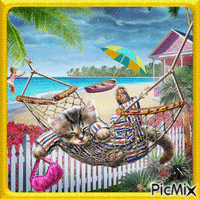 Chat sur la plage en été. - GIF animasi gratis