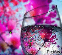 Bunte Sterne auf rosa Weinglas - GIF animé gratuit