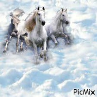 chevaux - Ingyenes animált GIF
