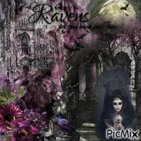 Gothic Art <Challenge> The Ravens - GIF animé gratuit