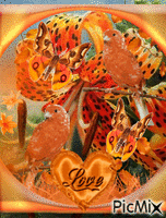 A BIG ORANGE AND BLACK FLOWER2 ORANGE BUTTERFLIES FLUTTERING2 ORANGE BIRDS, A ORANGE HEART LOVE. A ROUND FRAME AROUND IT. Animated GIF