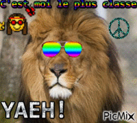 Le premier lion hippy - GIF animado gratis