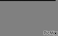 pixmix bug animovaný GIF