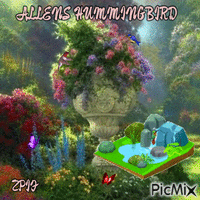 Allens Hummingbird - Δωρεάν κινούμενο GIF