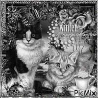 chat en noir et blanc animirani GIF