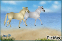hästar vid stranden - GIF animé gratuit