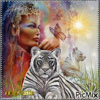 Tigres blancs - Бесплатный анимированный гифка