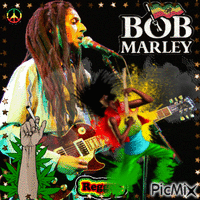 bob marley - 免费动画 GIF