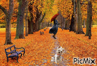 Осень Animated GIF