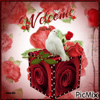 Welcome -birds-red-roses