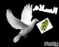 السلام - GIF animé gratuit