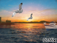coucher de soleil Animated GIF