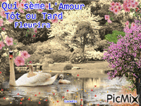Qui sème l'amour - Animovaný GIF zadarmo