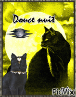Douce nuit les chatons アニメーションGIF