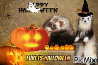 Halloween GIF animé