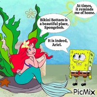 Spongebob and Ariel talking about Bikini Bottom