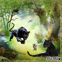 Panther mögen Mäuse - GIF animé gratuit