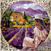 In der Provence animovaný GIF
