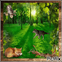Forest friends Animiertes GIF