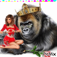 le gorille - Animovaný GIF zadarmo