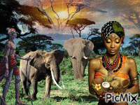 elefanti - Besplatni animirani GIF