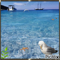 私の湾の青い水 animoitu GIF