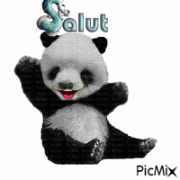 salut - Zdarma animovaný GIF