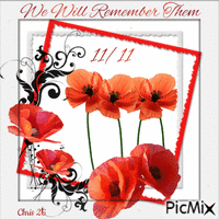 We Will Remember Them 11/11