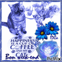 Bon week-end les chatons - Бесплатный анимированный гифка