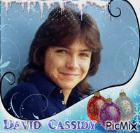 David Cassidy - Bezmaksas animēts GIF