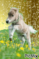 Tiere - Free animated GIF