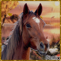 horse - Free animated GIF