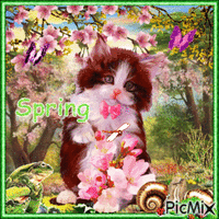 Spring Animal - GIF animé gratuit