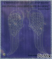 Ailes d'Anges - GIF animate gratis