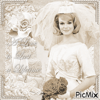 Wedding bride fashion vintage - Besplatni animirani GIF