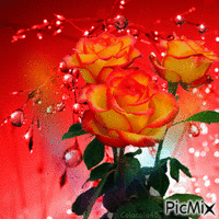 růže - Zdarma animovaný GIF