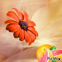 Fleur et fruits 💖 анимированный гифка