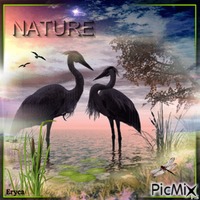 Beautée de la nature - PNG gratuit