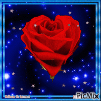 Rosa roja Animated GIF
