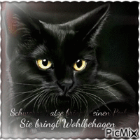 Schwarze Katzen - GIF animado grátis