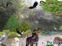 nature et animaux Animated GIF