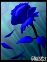 mon bleu de la journée - Bezmaksas animēts GIF