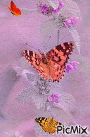 papillons Animated GIF