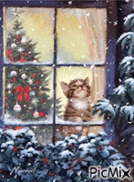 Christmas kitten snow