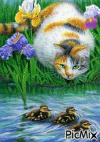Le chat au bord de l'étang - Gratis animeret GIF