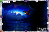 aigle dans la nuit animovaný GIF